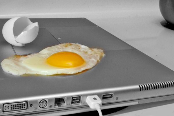 Laptop-egg